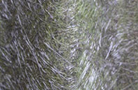 Calthorpe fibreglass roof work